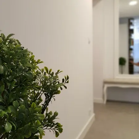 Ottimo Floriana * Bydgoszcz