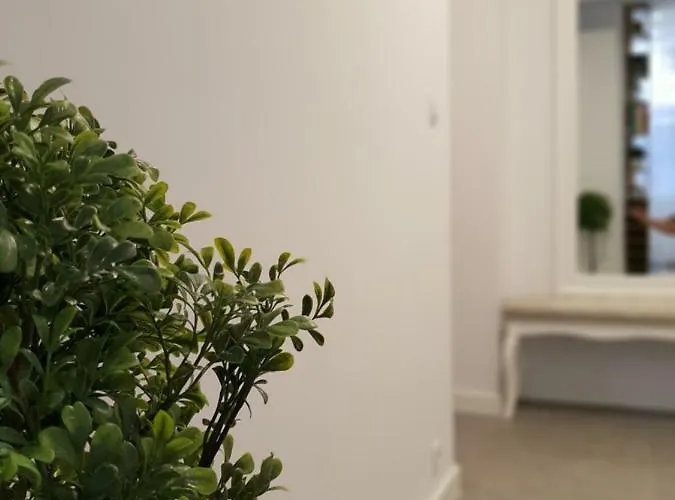 Ottimo Floriana * בידגוז'יז'